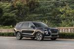 Hyundai Palisade Calligraphy 2020 года (NA)